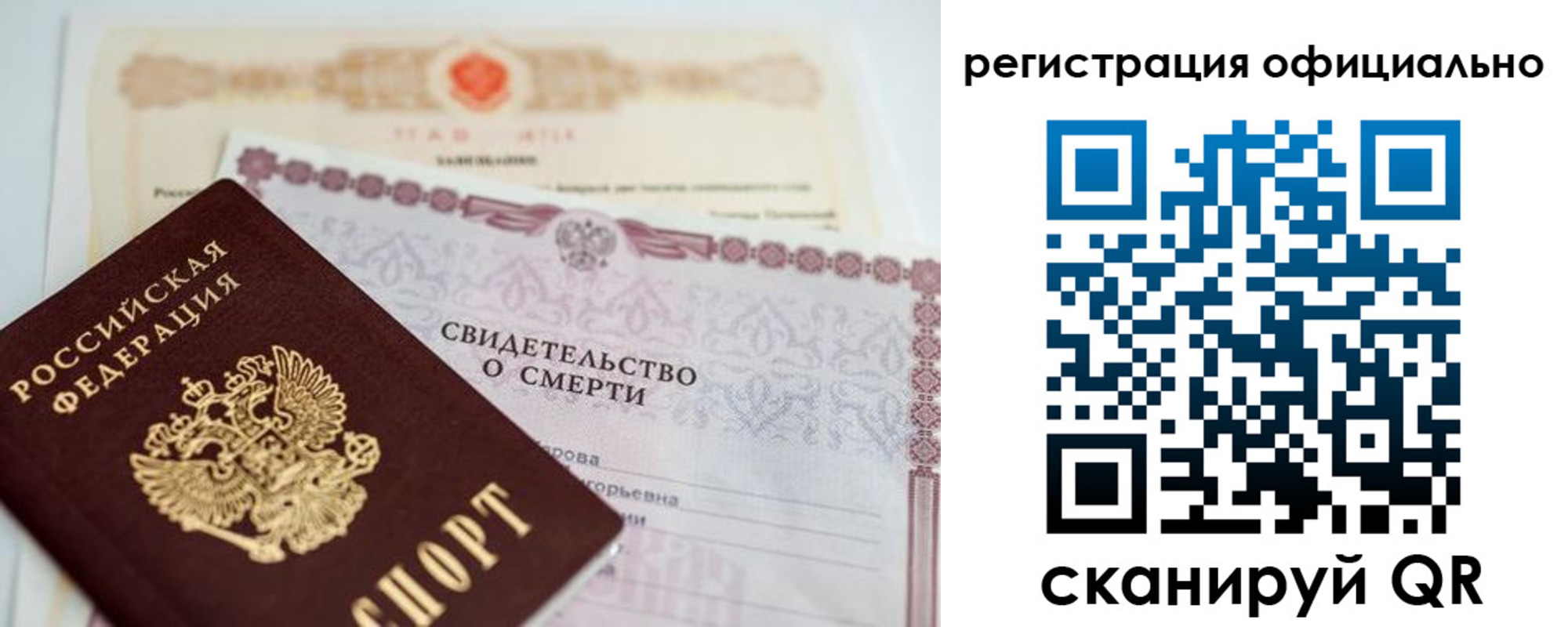 прописка 2025 в Зеленогорске